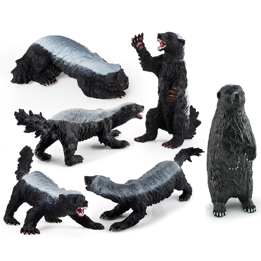 Kids Education Picture - Modelo realista de badger de miel,
