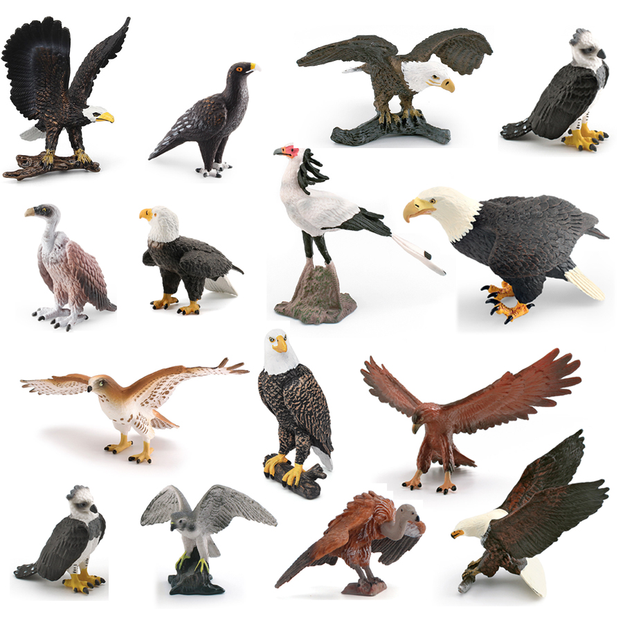 Kids Education Picture - Figuras realistas de animales salvajes, pájaros