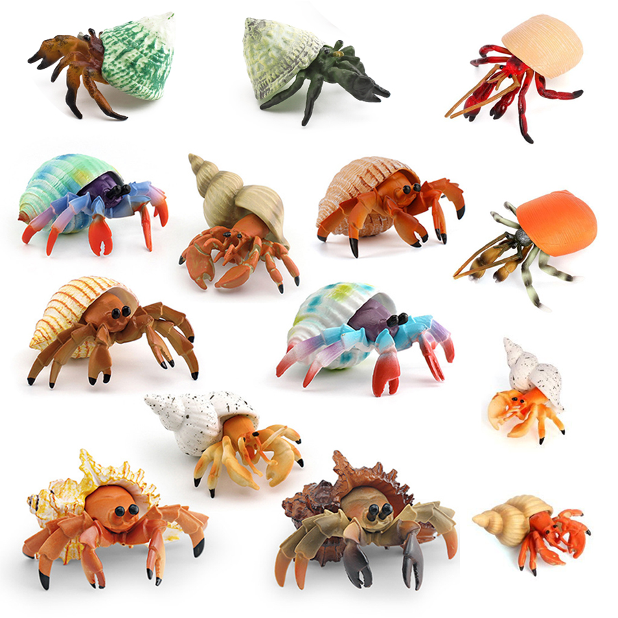 Kids Education Picture - Figura realista de cangrejo ermitaño, figuras