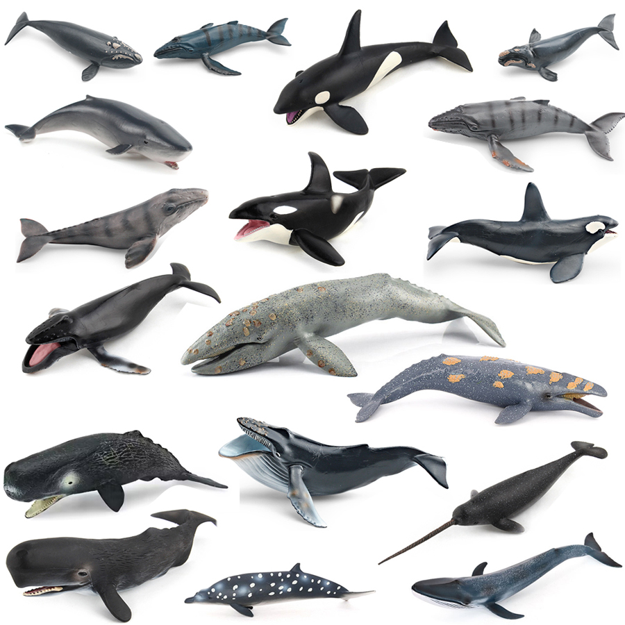 Kids Education Picture - Figuras de Acción Realistas de Animales