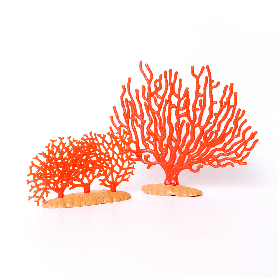 Anémones marinos de Coral real - Kids Education Picture reseña y precio