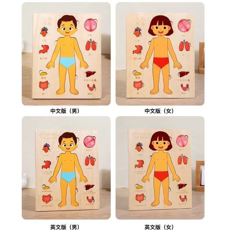 Rompecabezas Montessori, table - Human Body Puzzle reseña y precio