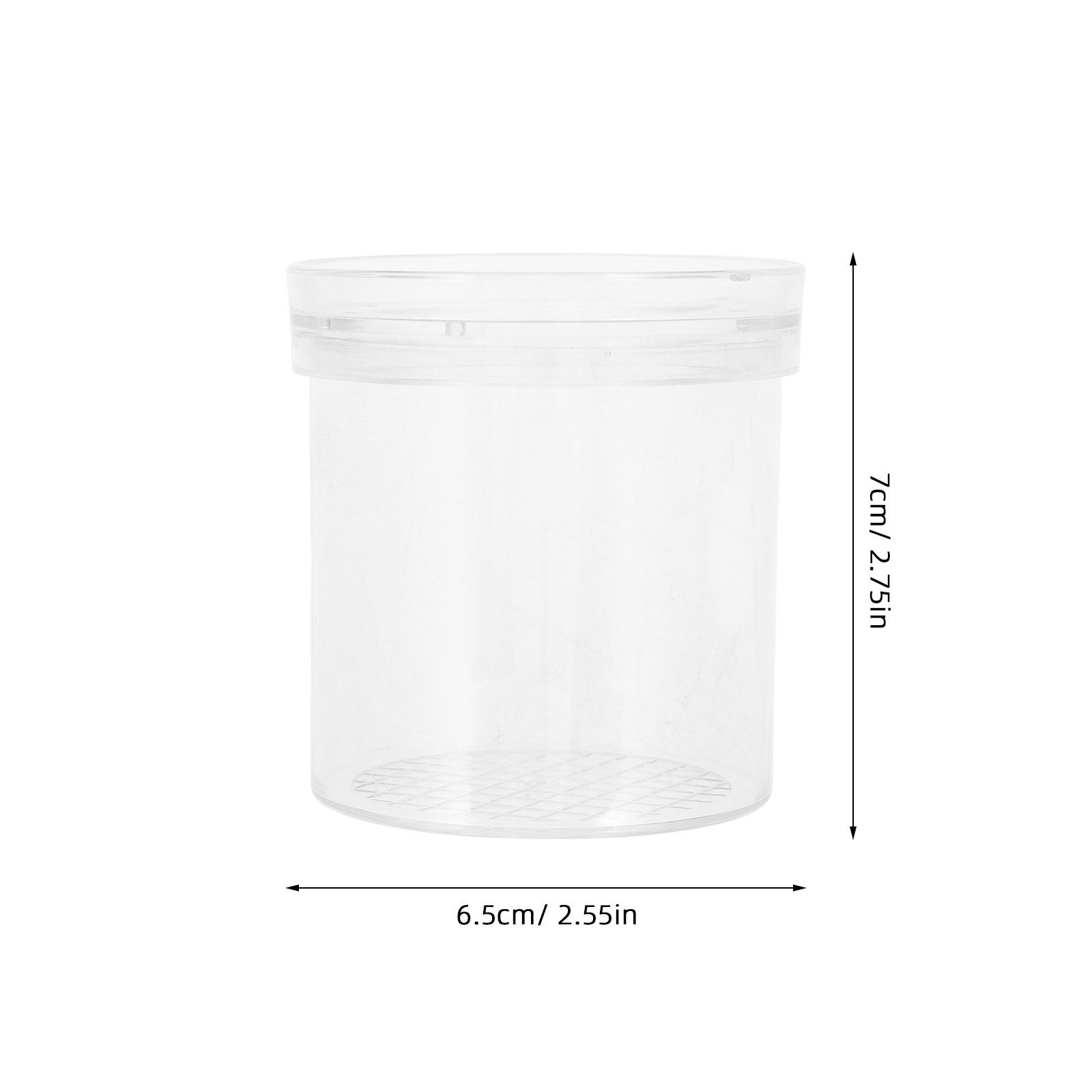 Caja de Observación de Insecto - Kids Outdoor Education reseña y precio