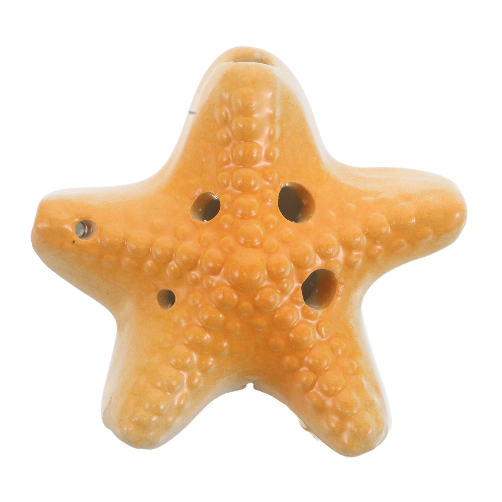 Ocarina Oceánica de Seis Orifi - Kids Outdoor Education reseña y precio
