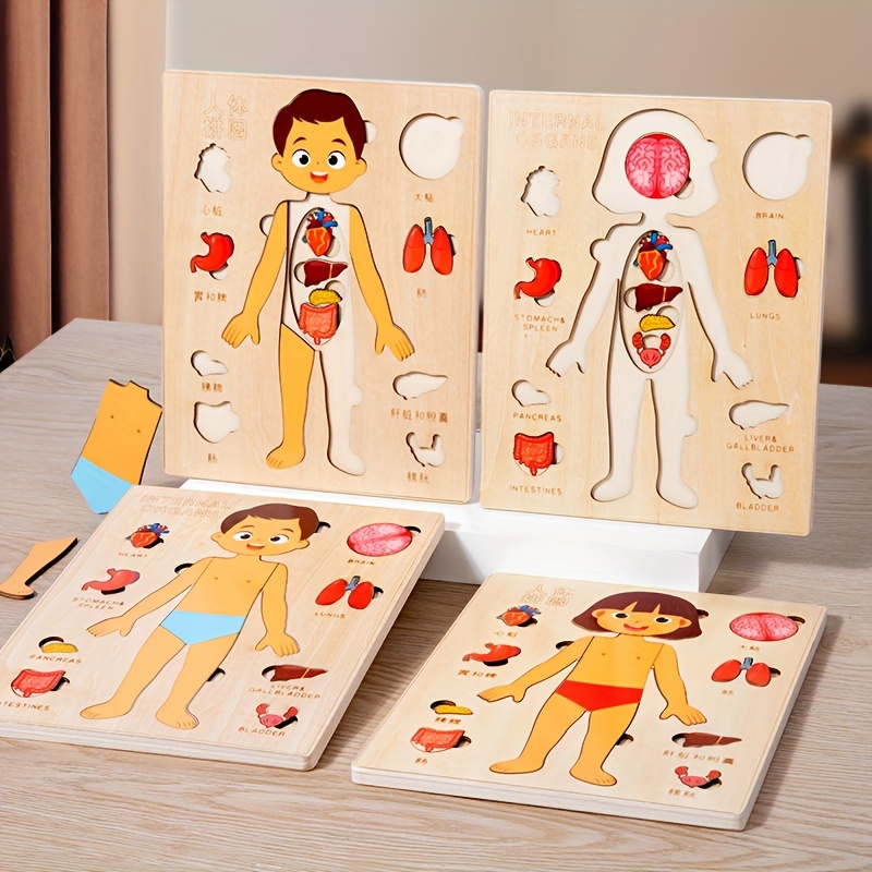 Juego de rompecabezas de anato - Human Body Puzzle reseña y precio