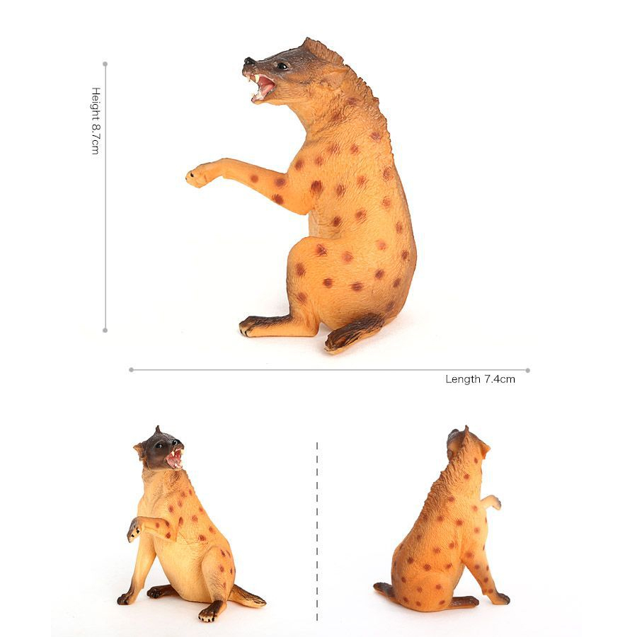 Hígena de vida silvestre de pl - Kids Education Picture reseña y precio