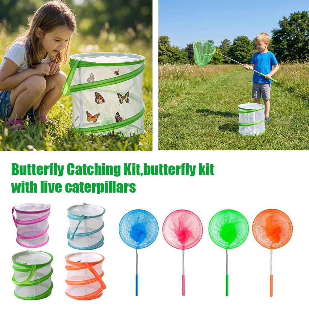 Kit de captura de mariposas pa - Kids Outdoor Education reseña y precio