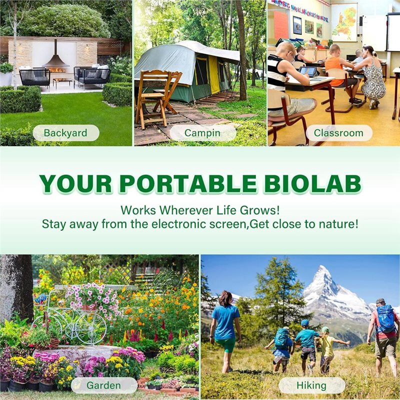 Atrapa Insectos para Niños - K - Kids Outdoor Education reseña y precio