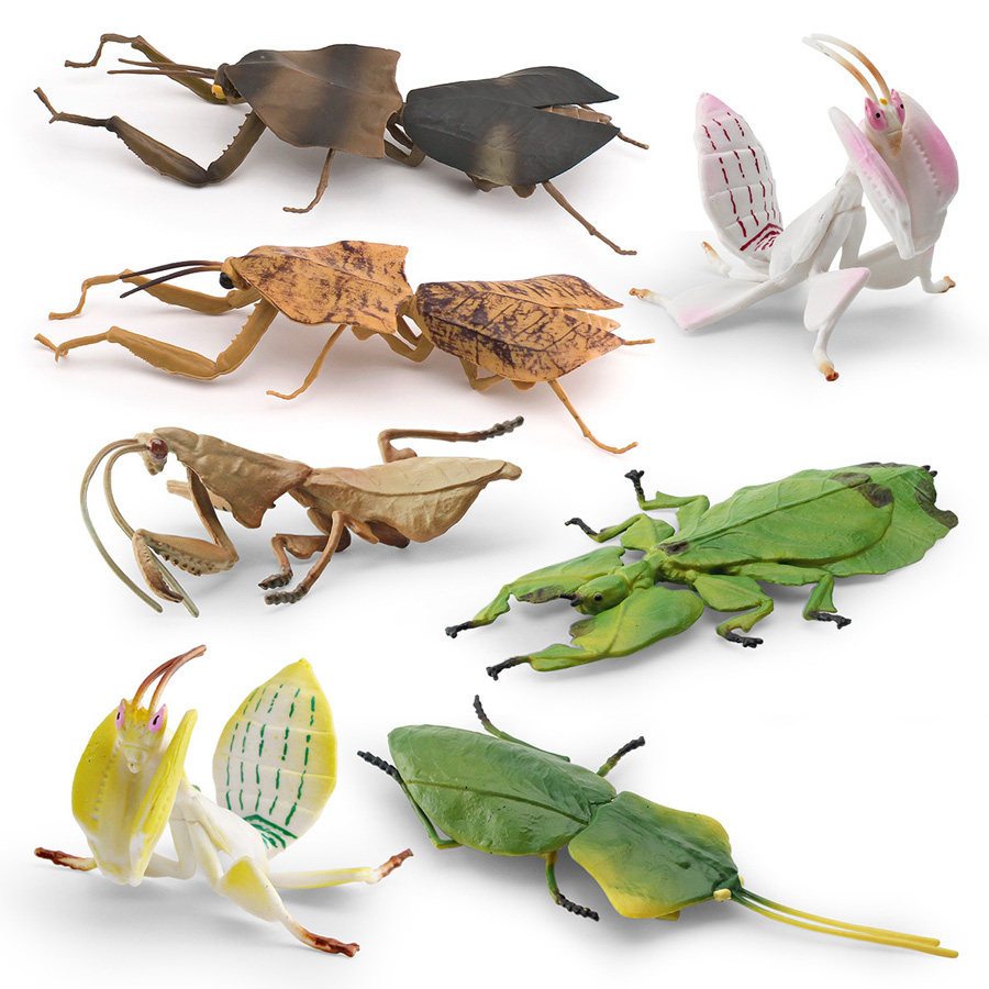 Figura Realista de Orquídea Ma - Kids Education Picture reseña y precio