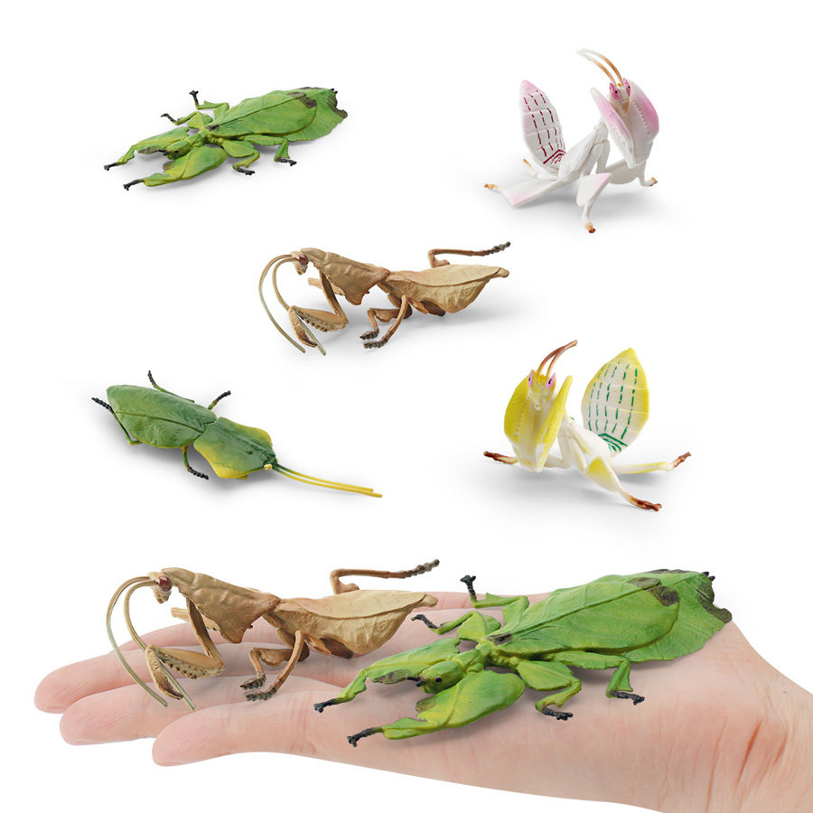 Figura Realista de Orquídea Ma - Kids Education Picture reseña y precio